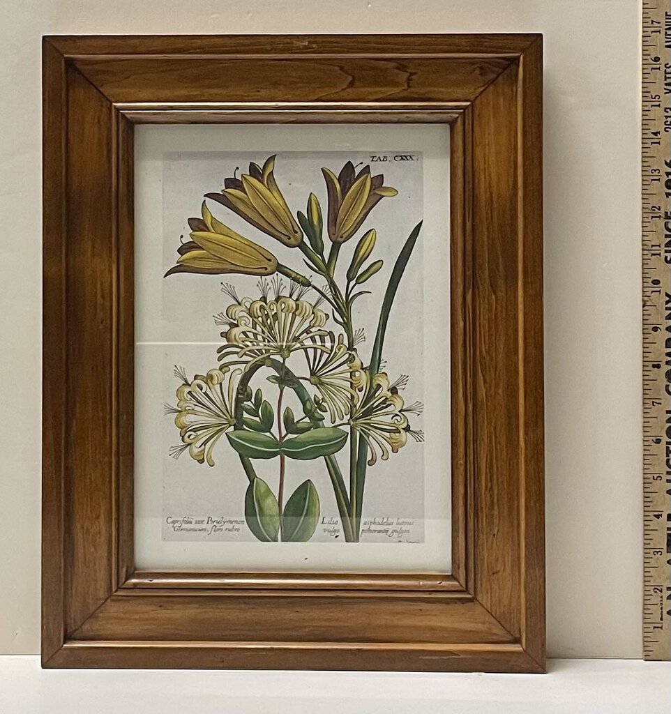 Vintage Framed Botanical Floral Print Reproduction