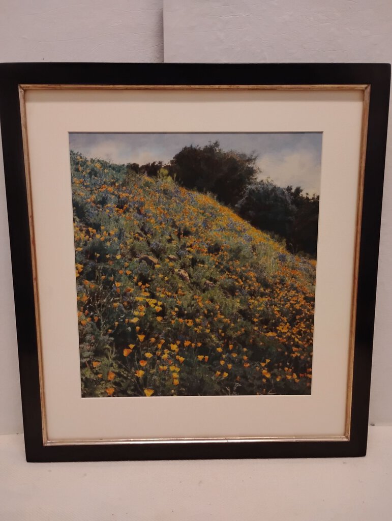 J.W. Collinge Field of Poppies Photo 20x22