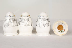 Spode - Colonel Gray - English Bone China Dish Set - 85 Piece Set
