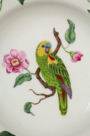 Lynn Chase 1989 "Parrots of Paradise" Dish Set - 45 Piece Set