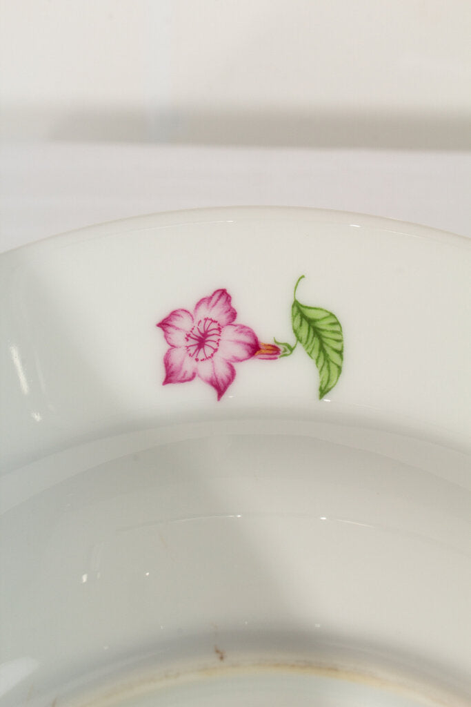 Lynn Chase 1989 "Parrots of Paradise" Dish Set - 45 Piece Set