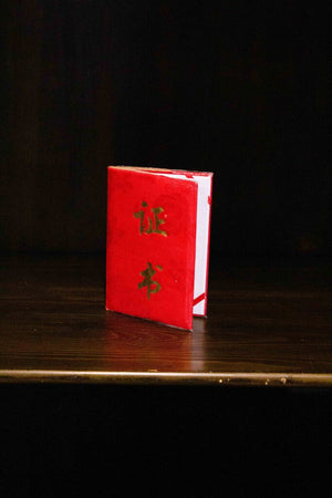 Antique Painted Chinese Elm Wedding Cabinet-Shanxi