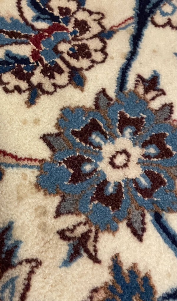 Nain Navy Blue and White Persian Rug with Red and Light Blue Accents - Kork (Cashmere) Wool and Silk Highlights on Cotton Foundation