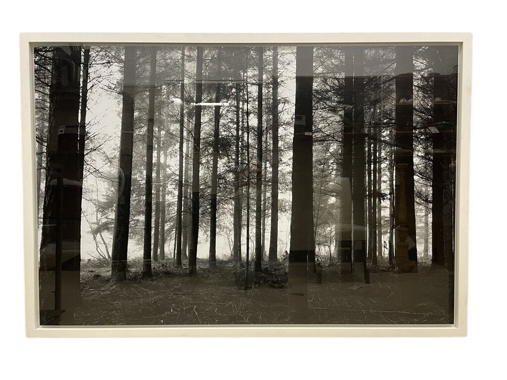 Marine Hugonnier "Le Val De Sans Retour" LE Photo by Miss Daisy's Consignment & Auction House