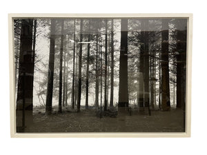 Marine Hugonnier "Le Val De Sans Retour" LE Photo by Miss Daisy's Consignment & Auction House