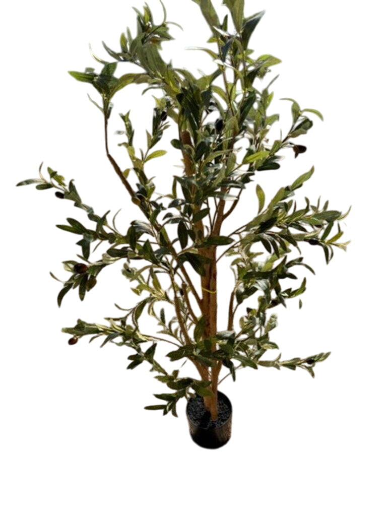 Faux Olive Tree in Pot by Miss Daisy's Consignment & Auction House