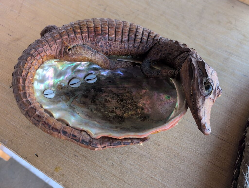 Baby Alligator Taxidermy on Abalone