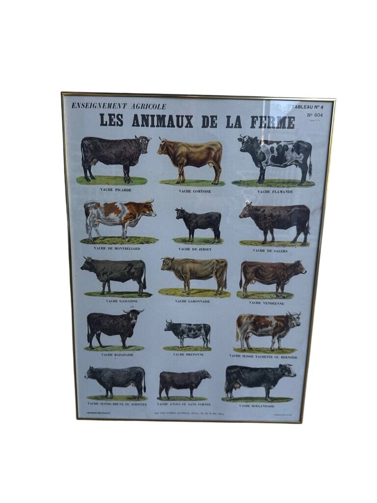 Framed French Print Poster