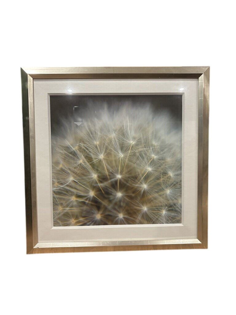 Framed Dandelion Art Print
