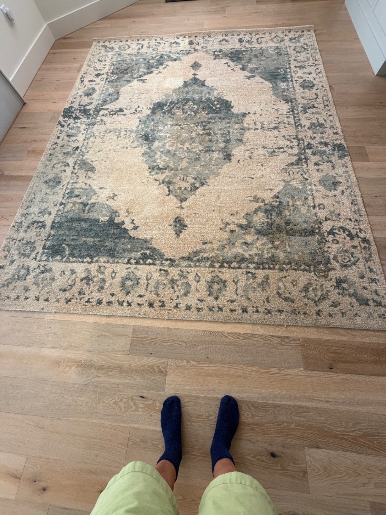 Aleah Multi Color / Wool Tufted Rug