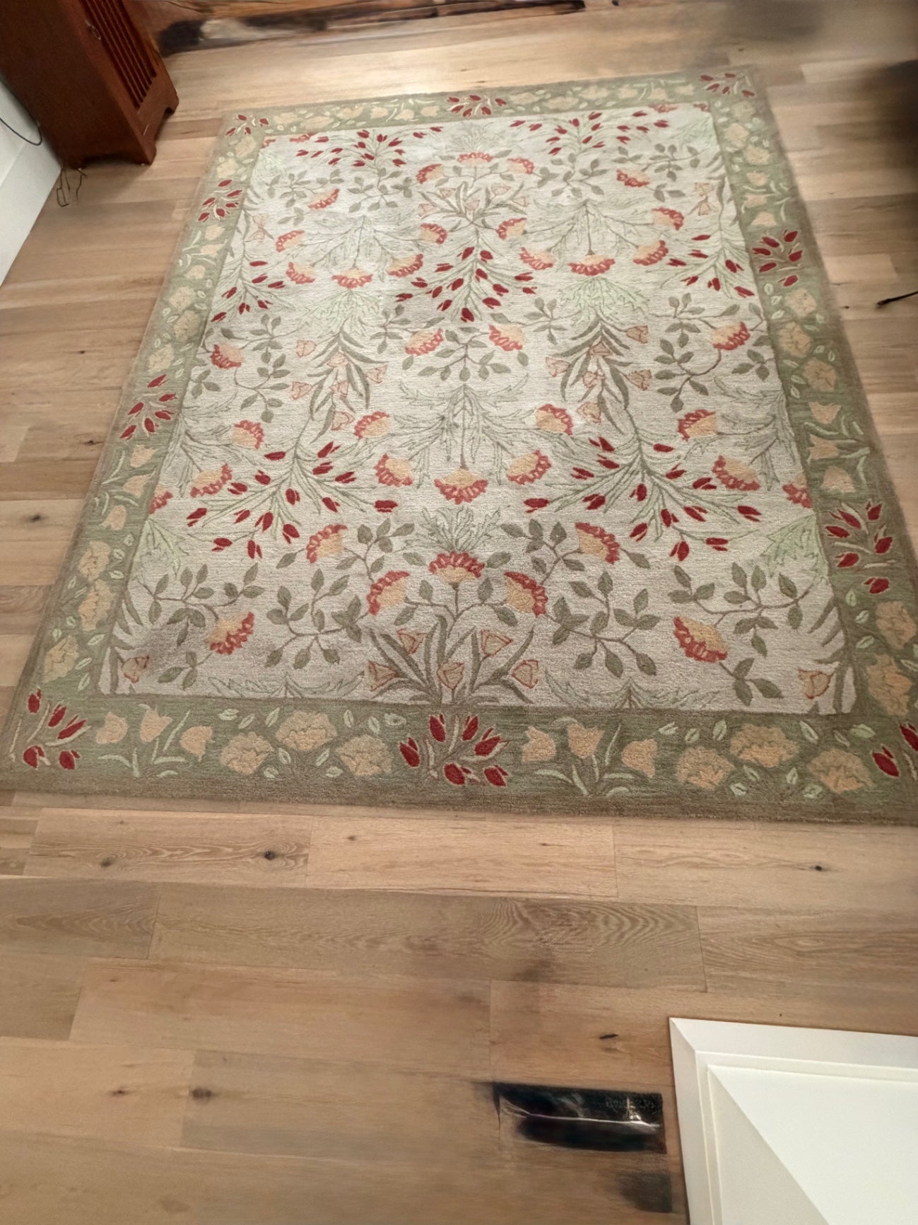 Pottery Barn Adeline Sage wool Rug