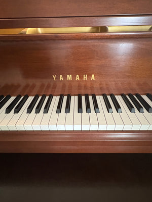 Yamaha Baby Grand Piano with Bench