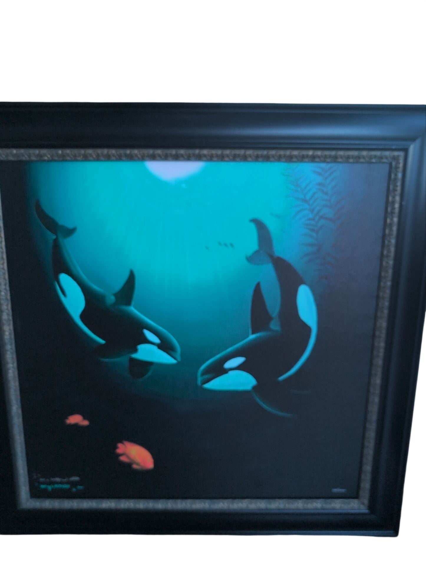Wyland Killer Whale Framed Print 220/2000