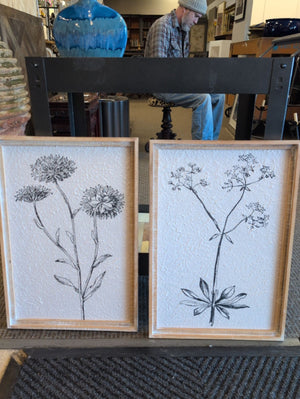 Pair Botanical Framed Art