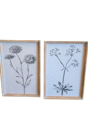 Pair Botanical Framed Art
