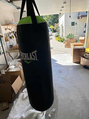 Everlast punching bag