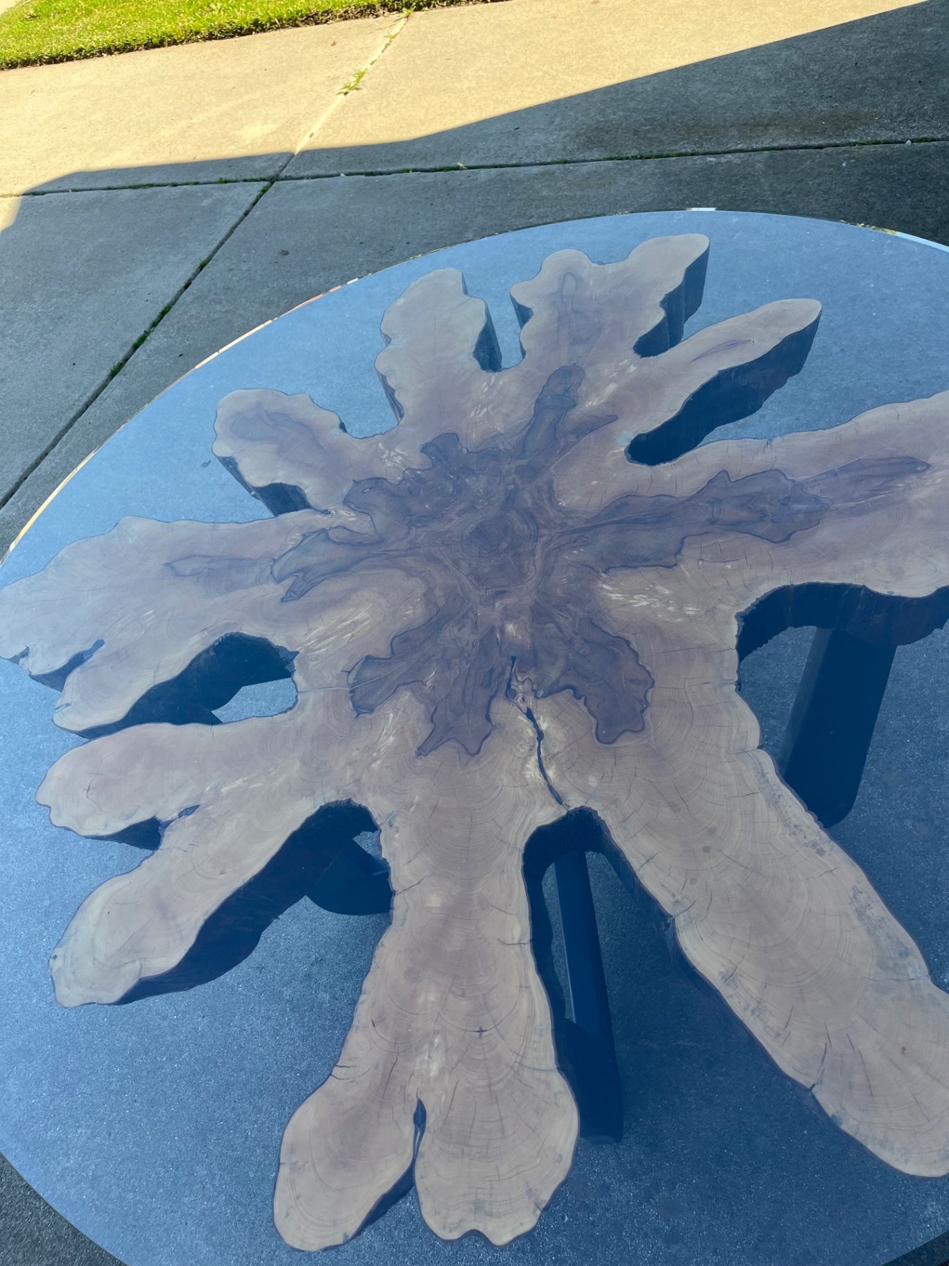Cross Cut Stump Dining Table with Glass Top furniture