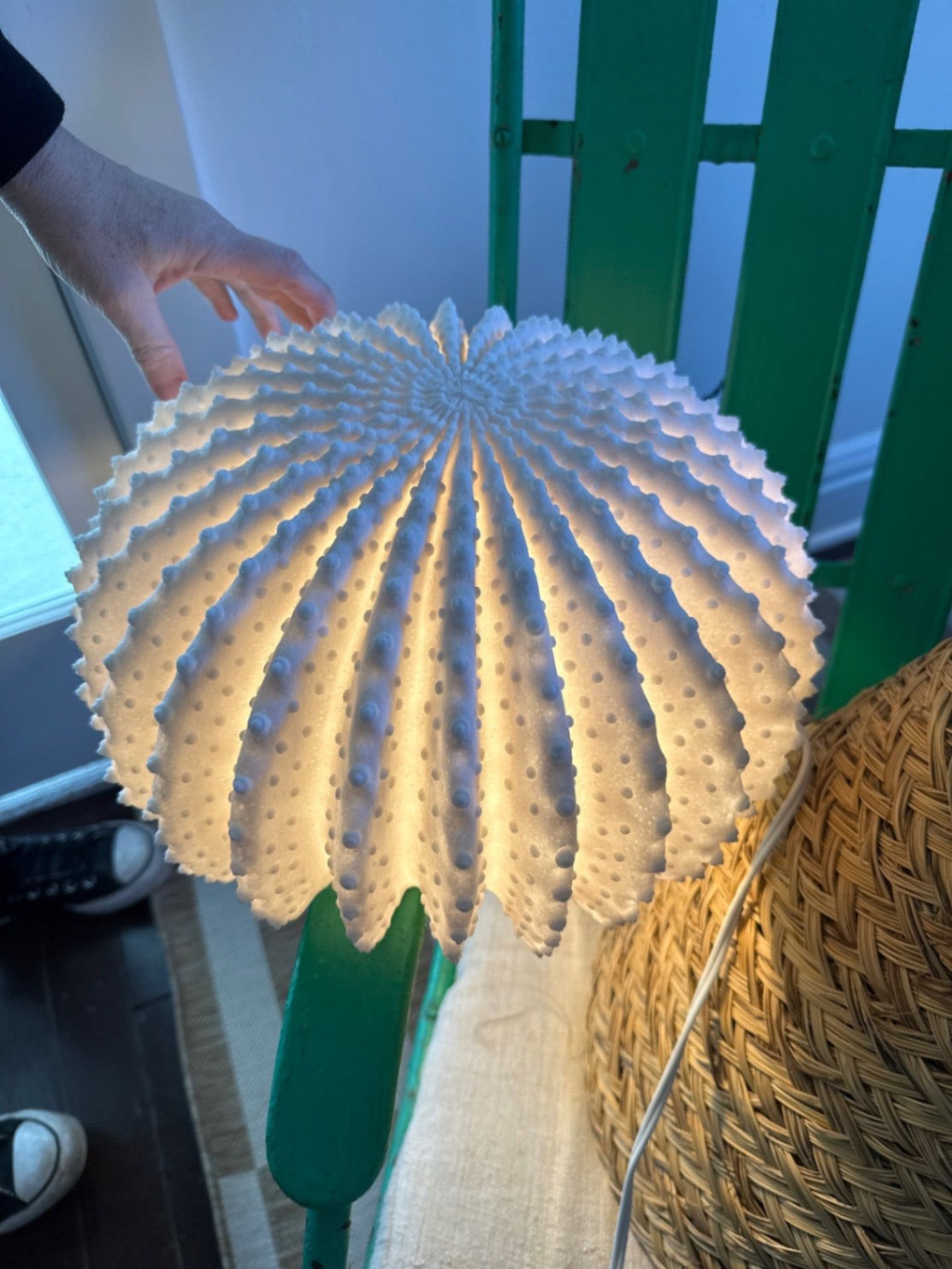Round Modern Design Sea Urchin/Cactus Shaped Accent Light