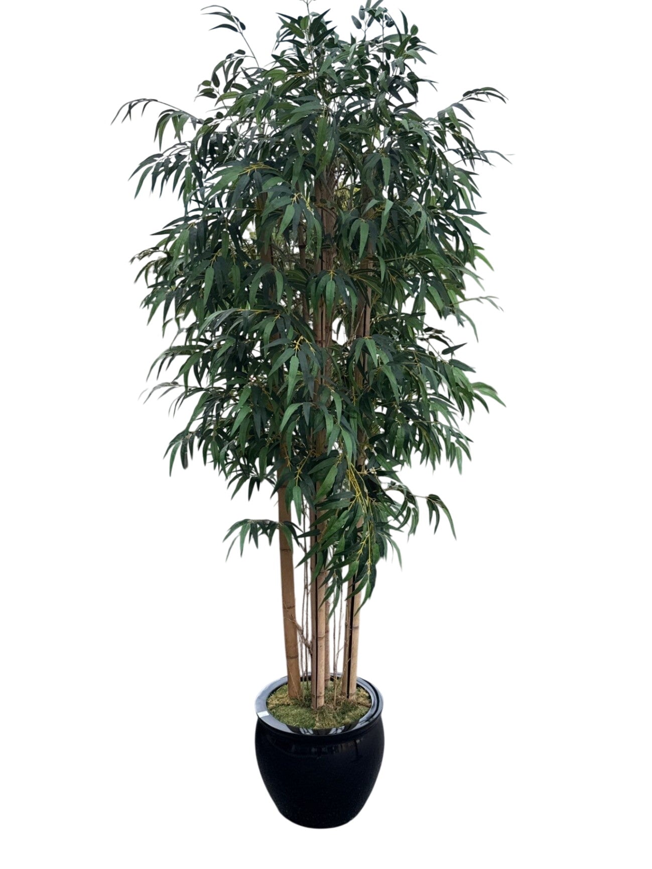 Faux Bamboo Tree In Ceramic Pot