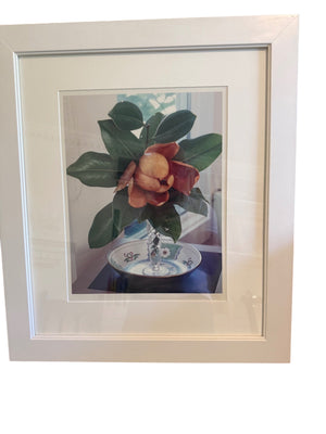 Magnolia Still Life Photo