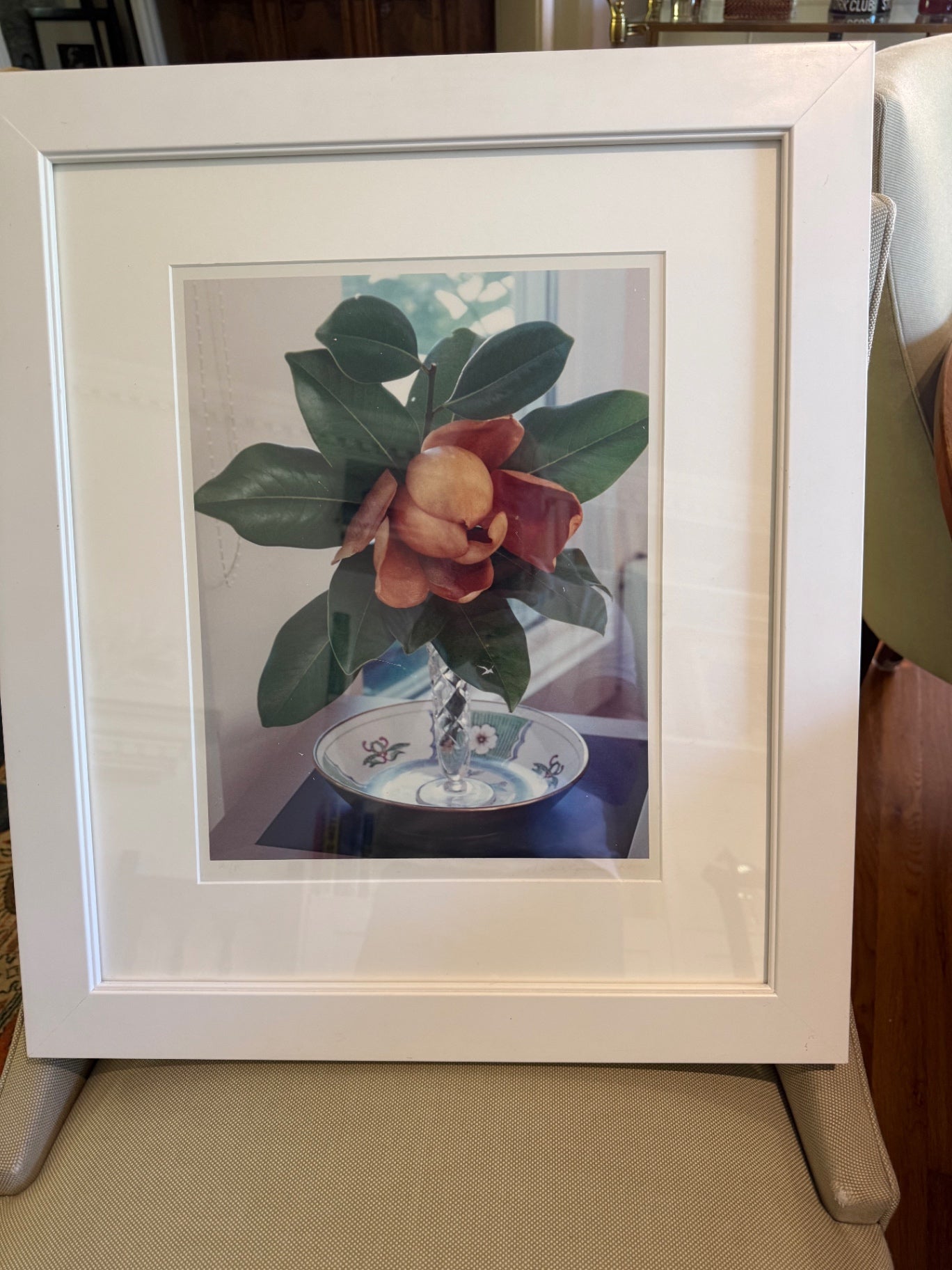 Magnolia Still Life Photo