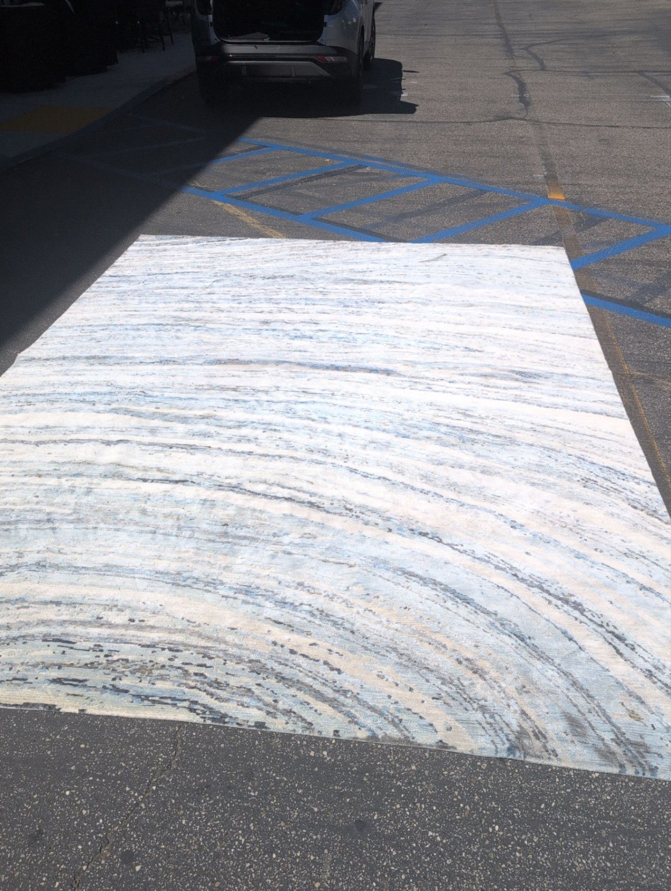 Multi Color  Area Rug  (9'x12')