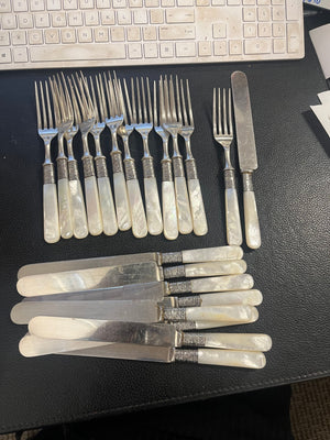 International Silver Co. MOP Handles 33 Piece set