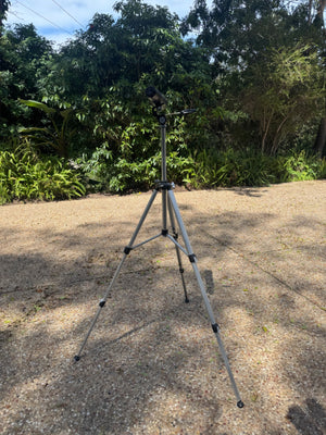 Bausch & Lomb Field Tripod Telescope