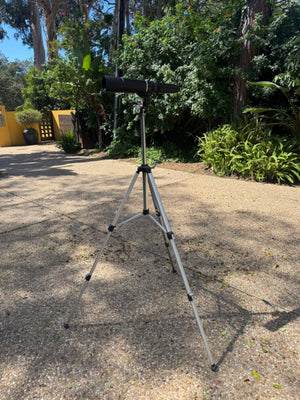 Bausch & Lomb Field Tripod Telescope