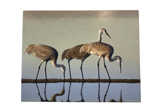 Claire Duncan "Sandhill Cranes" 36x48