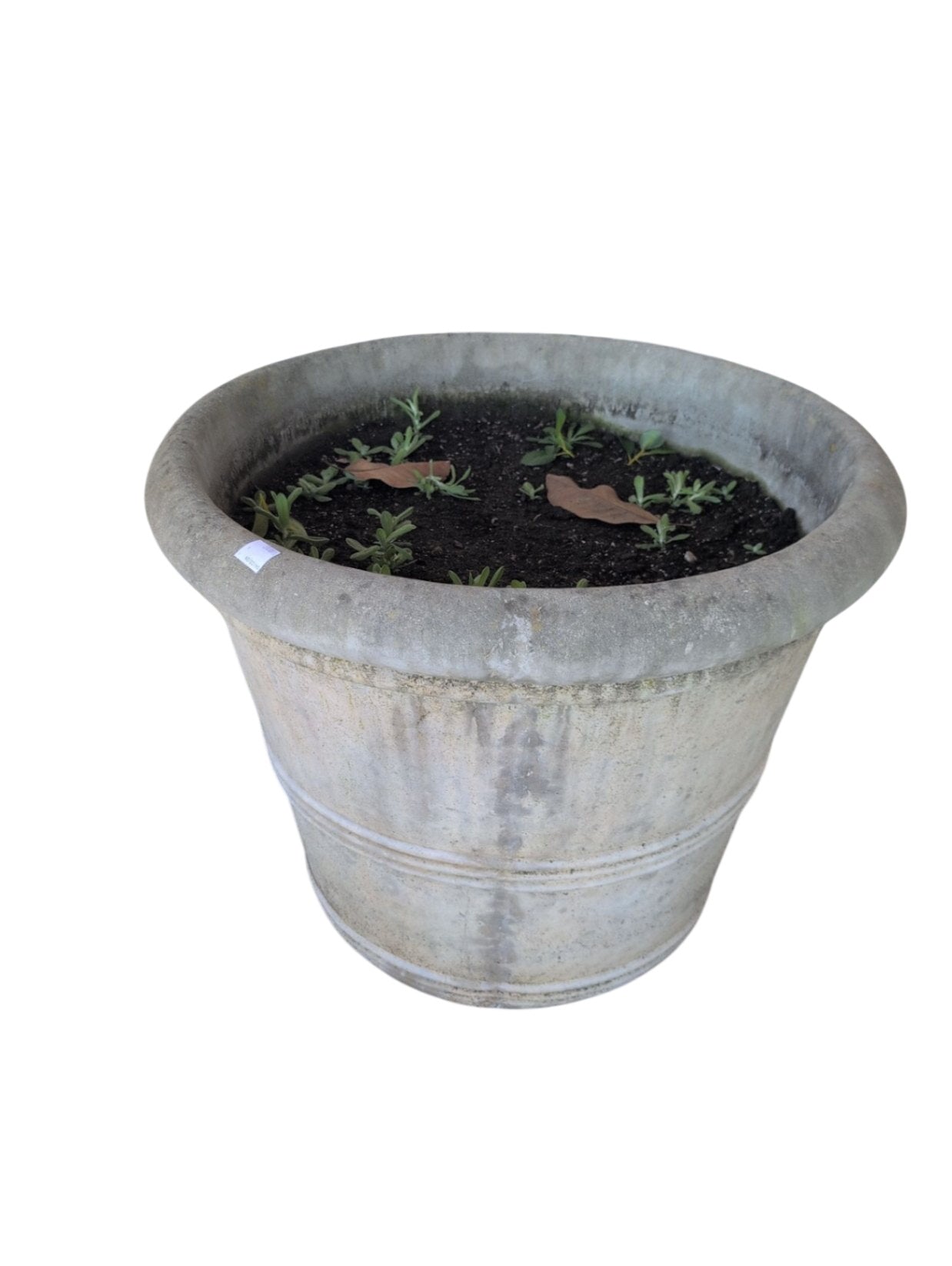 Concrete Outdoor Planter