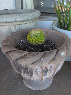 Fluted Planter With Cactus