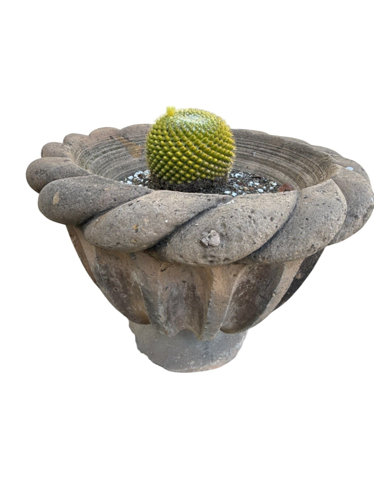 Fluted Planter With Cactus