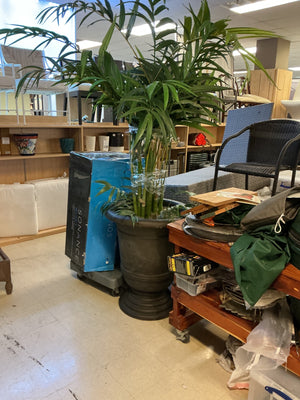 Faux  Bamboo Palm in Brown Planter