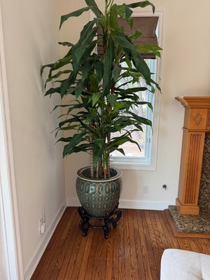 Green & Gold 19" Porcelain Fish Bowl On Stand With Faux Dracaena Approx. 96" Total