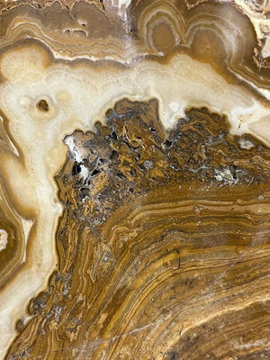 Vintage Banded Calcite Mexican Onyx 22"x21.5" Organic Modern Decor