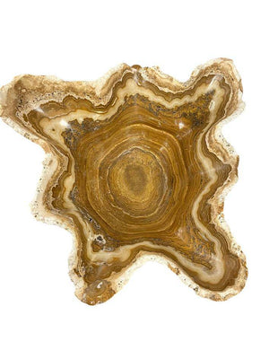 Vintage Banded Calcite Mexican Onyx 22"x21.5" Organic Modern Decor