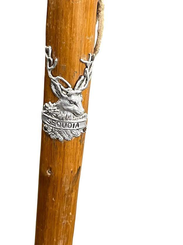 Sequoia Hiking Stick 37.5"