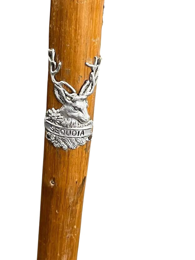 Sequoia Hiking Stick 37.5"