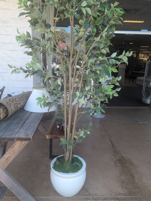 Artificial Ficus Tree In White Planter