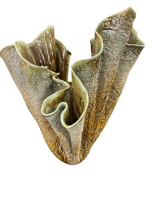 Burt Signed American Studio Pottery Folded Sculptural Vase 14.5"