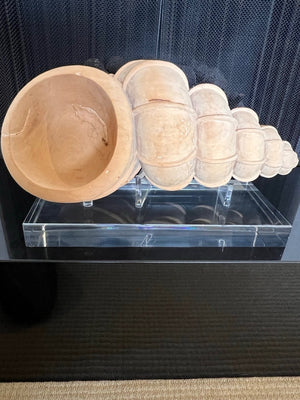 Terra Cota Seashell Sculpture with Lucite Base 15 x 20 x 10