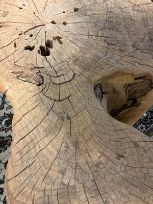 Solid Natural Tree-Root/Stump Accent Table