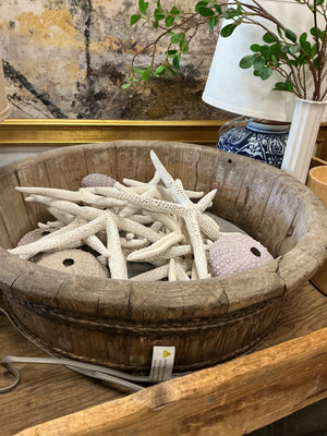 Chinese Antique Bowl With Starfish 23”