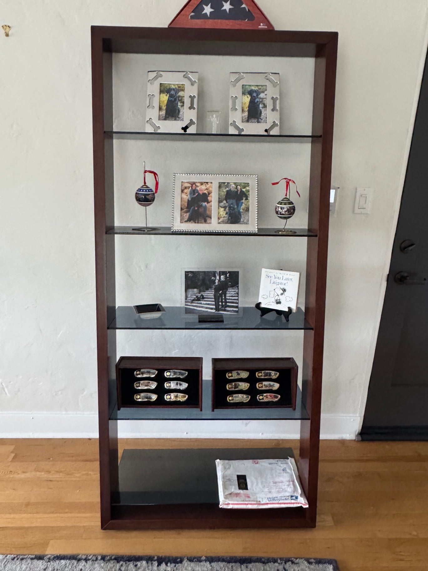 Pair of BDI Eileen leaning shelves feature a dark wood frame with five graduated, grey-tinted tempered glass shelves. 34” wide, 74” high, 22” deep PRICED EACH.