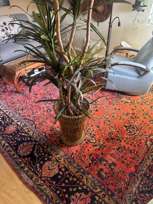 Quality Silk Tree