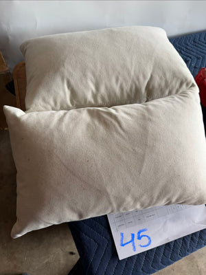 Pillows (Qty. 2)