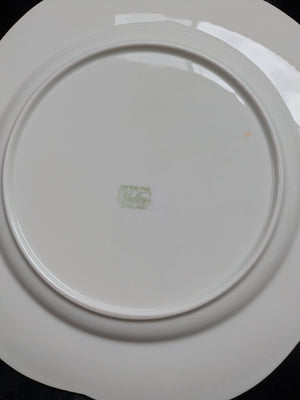 Shelley Potteries Regency (Dainty White with Gold Trim) Place Setting for 13