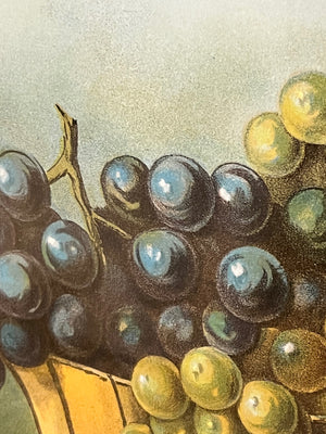 Still Life Grapes Peaches & Walnuts Oil On Board In Antique Qtr Sawn Oak & Metal Frame 31.5x27.5