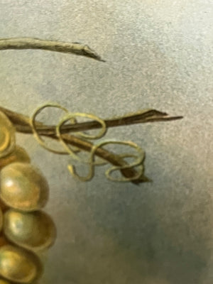 Still Life Grapes Peaches & Walnuts Oil On Board In Antique Qtr Sawn Oak & Metal Frame 31.5x27.5